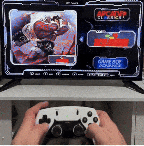 RetroStick™- 20,000 Retro Games + 2 Free Controllers