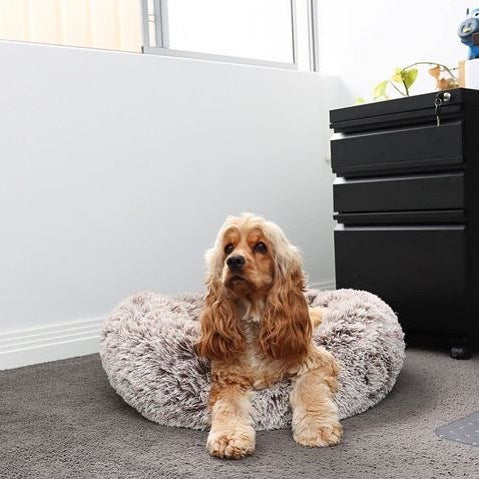 Pet Calming Dog Bed