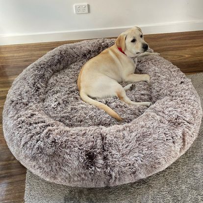 Pet Calming Dog Bed