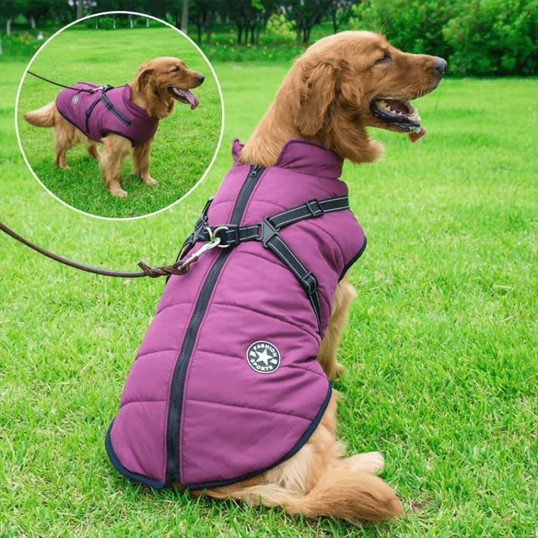 StormShield Winter Dog Coat